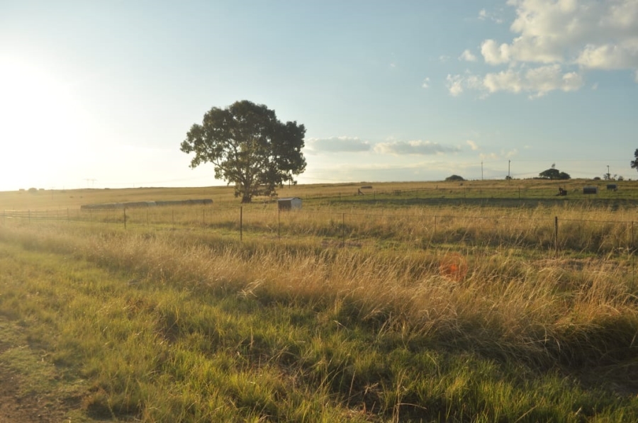 5 Bedroom Property for Sale in Reitz Rural Free State